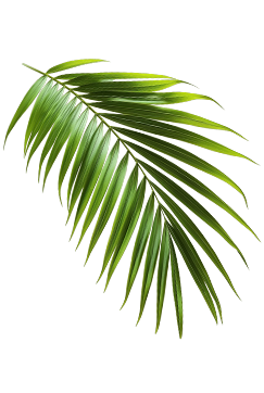 اسلایدر تصویر 2