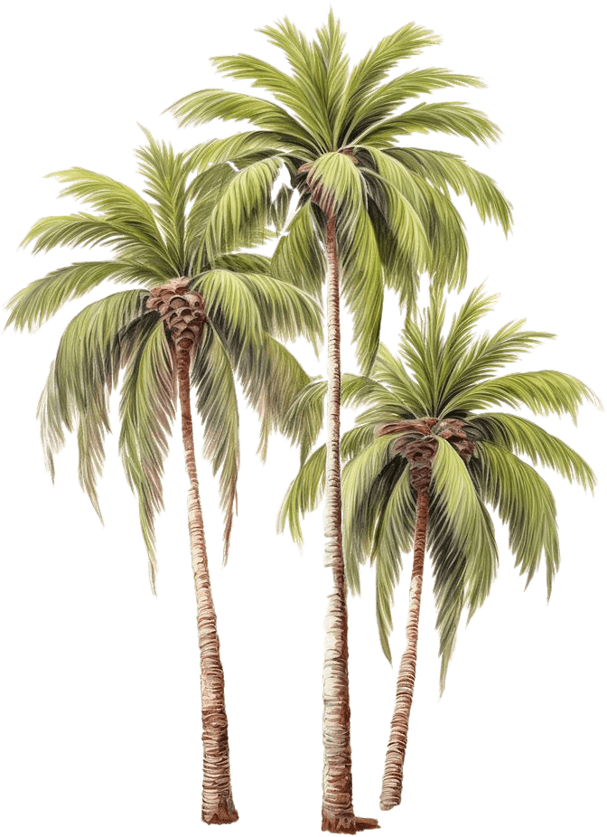 اسلایدر تصویر 4